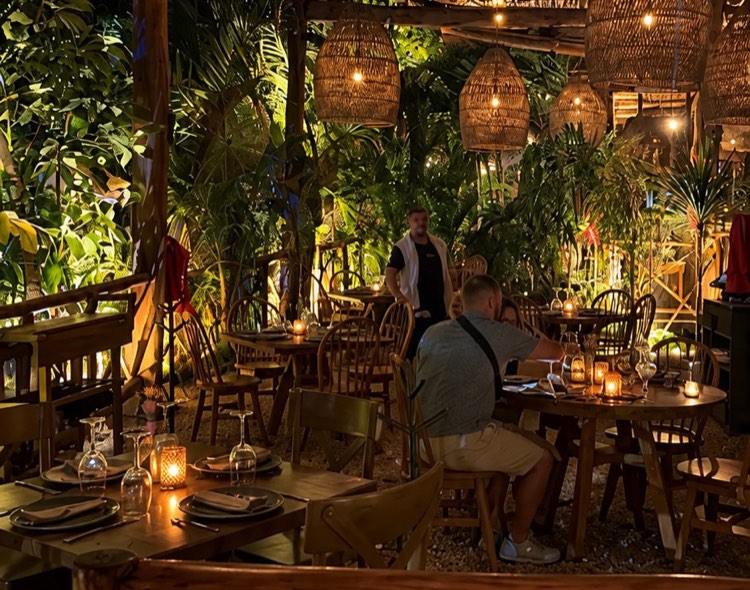 Your warmly lit restaurant dining room with woven pendant lamps and tropical plants